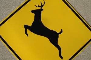 Video: Deer Takes Down Skateboarder